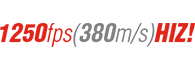Speed TR 08