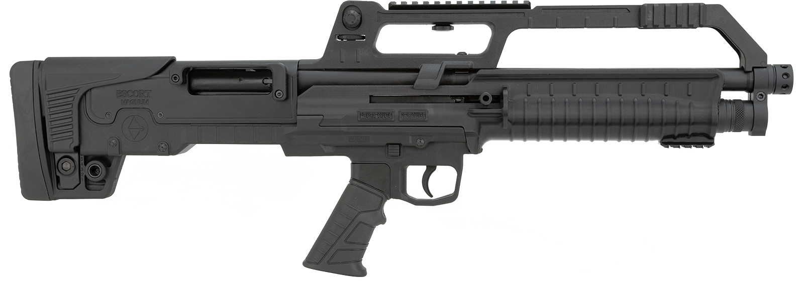 bull tac sa right
